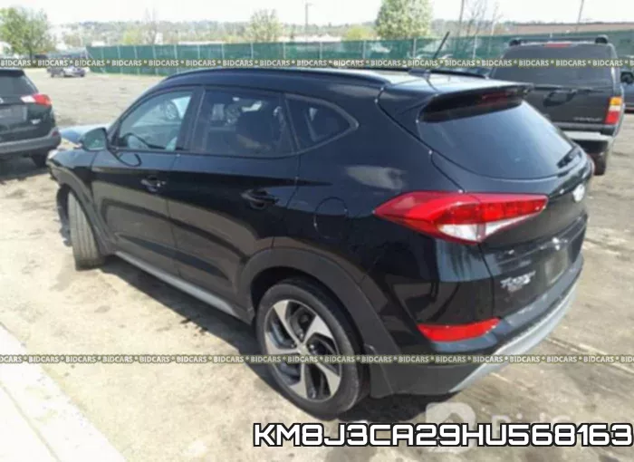 KM8J3CA29HU568163 фото 4