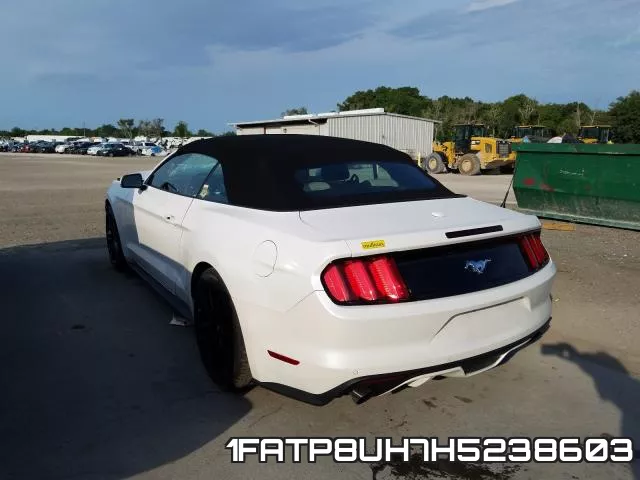 1FATP8UH7H5238603 фото 4