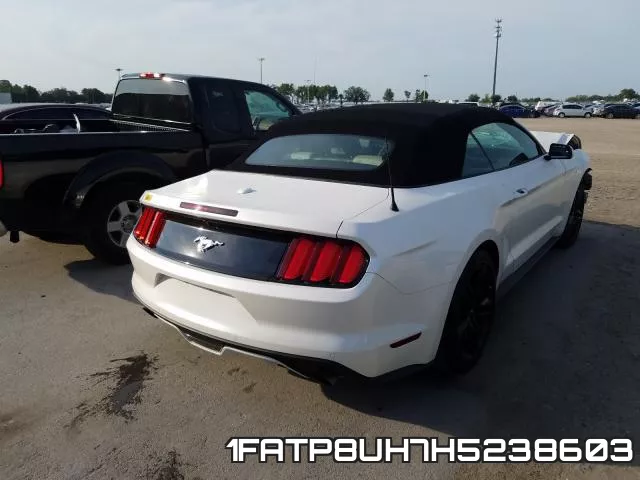 1FATP8UH7H5238603 фото 5