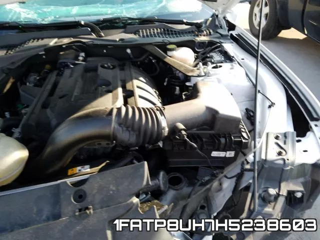 1FATP8UH7H5238603 фото 8
