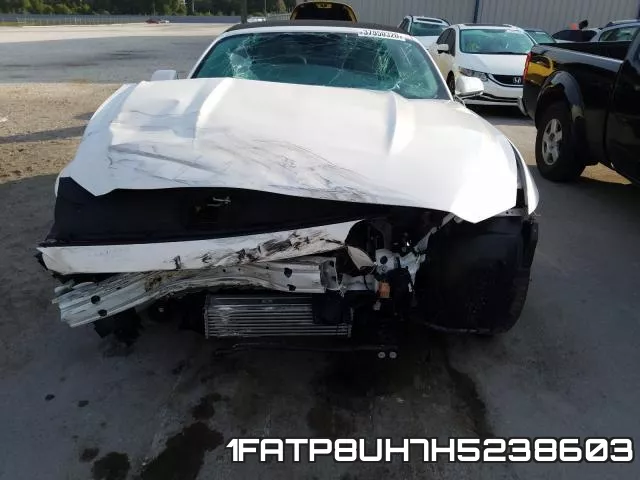 1FATP8UH7H5238603 фото 10