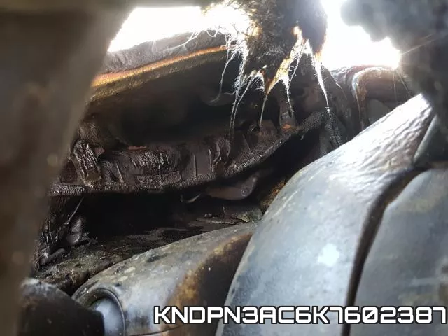 KNDPN3AC6K7602387 фото 9