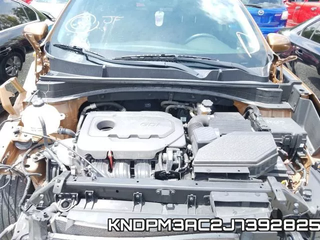 KNDPM3AC2J7392825 фото 8