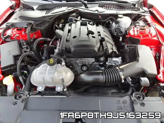 1FA6P8TH9J5163259 фото 8