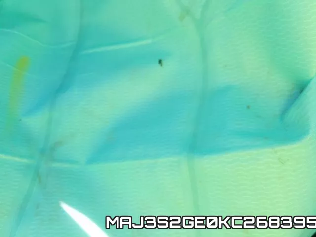 MAJ3S2GE0KC268395 фото 9