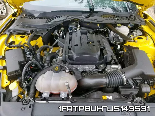1FATP8UH7J5143531 фото 8