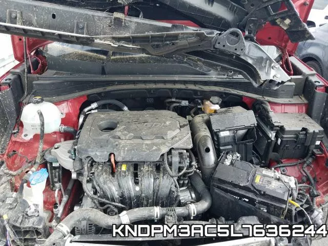 KNDPM3AC5L7636244 фото 8