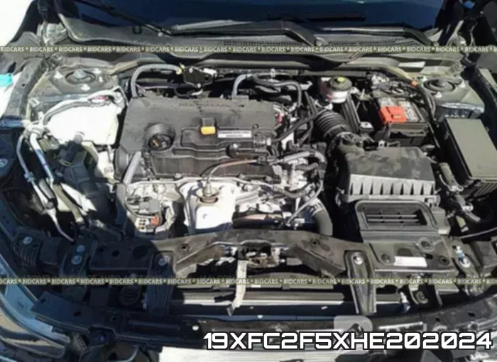 19XFC2F5XHE202024 фото 2