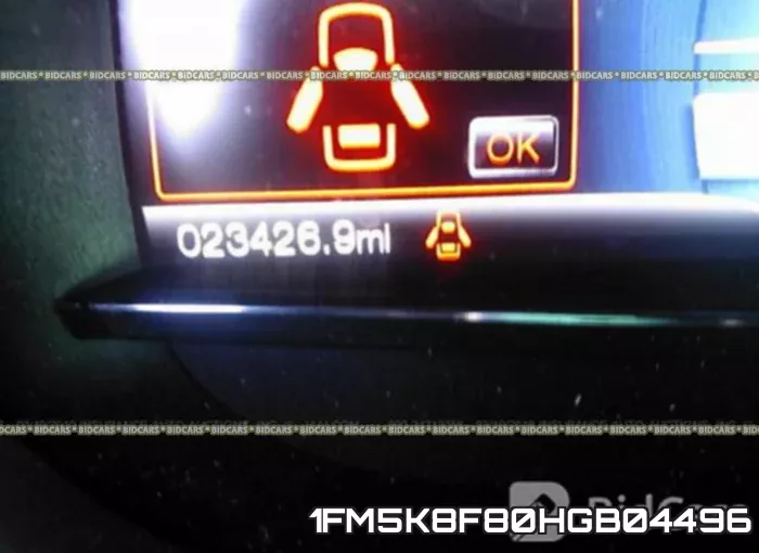 1FM5K8F80HGB04496 фото 8