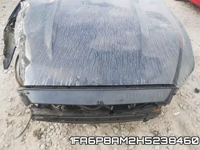 1FA6P8AM2H5238460 фото 8