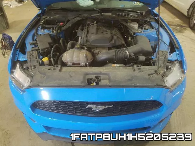 1FATP8UH1H5205239 фото 8