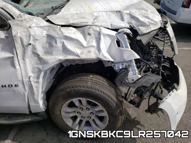 1GNSKBKC9LR257042 фото 10