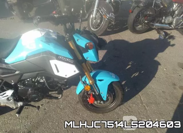 MLHJC7514L5204603 фото 6