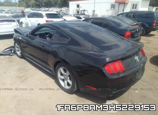 1FA6P8AM3H5229153 фото 4