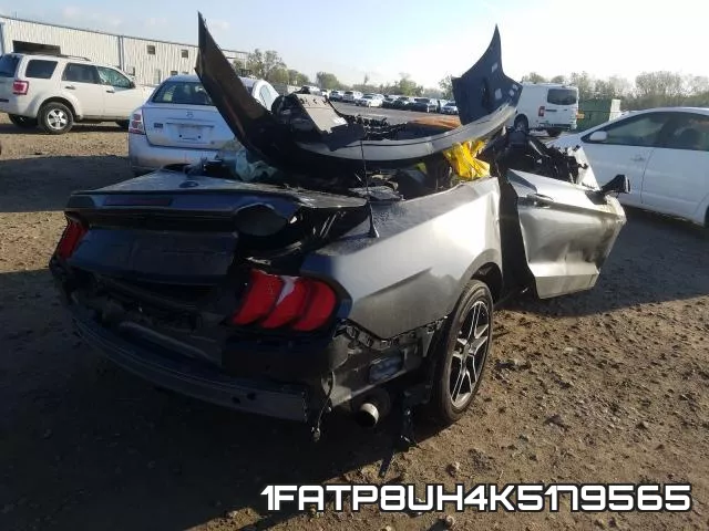 1FATP8UH4K5179565 фото 5