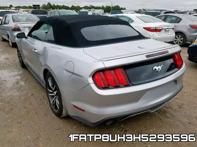 1FATP8UH3H5293596 фото 4