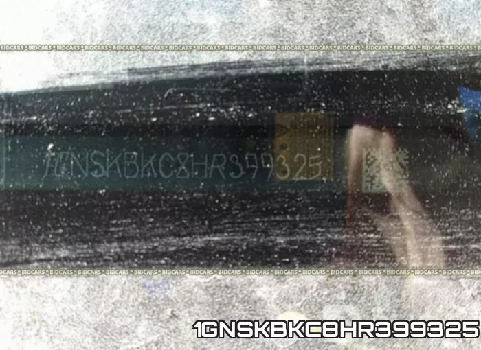 1GNSKBKC8HR399325 фото 10