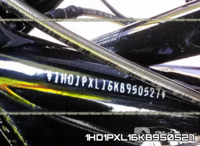 1HD1PXL16KB950527 фото 2