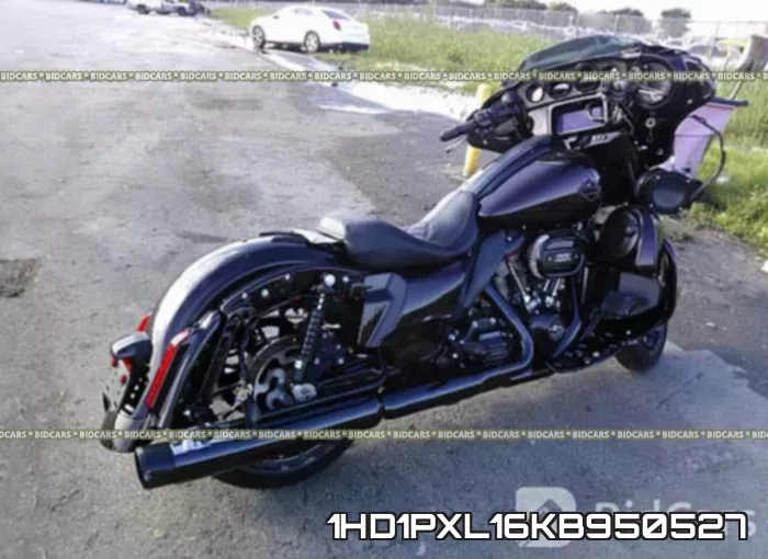 1HD1PXL16KB950527 фото 5