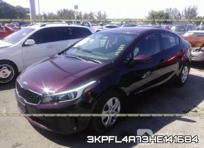 3KPFL4A73HE141684 фото 3