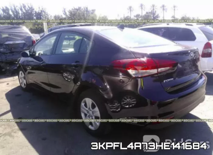 3KPFL4A73HE141684 фото 4