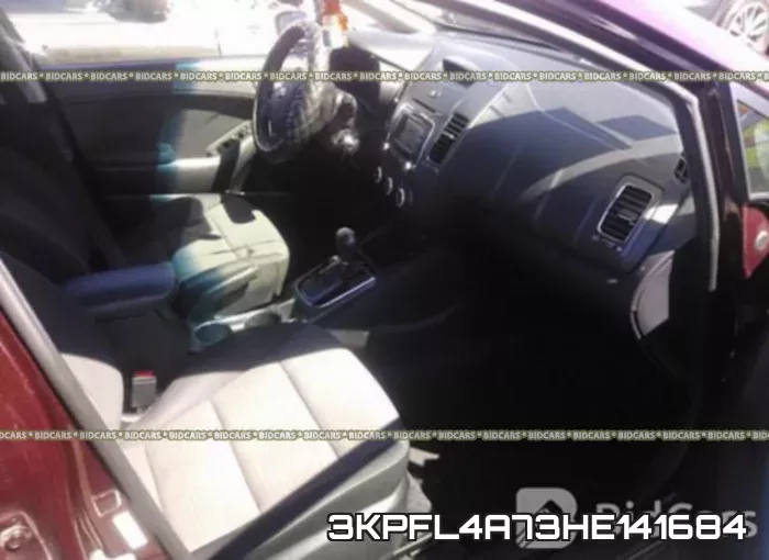 3KPFL4A73HE141684 фото 6