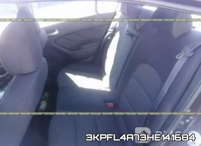 3KPFL4A73HE141684 фото 9
