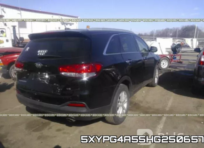 5XYPG4A55HG250657 фото 4