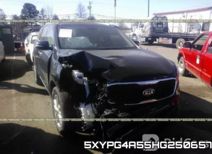 5XYPG4A55HG250657 фото 6