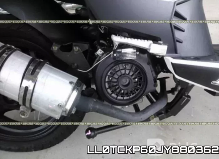 LL0TCKP60JY880362 фото 9