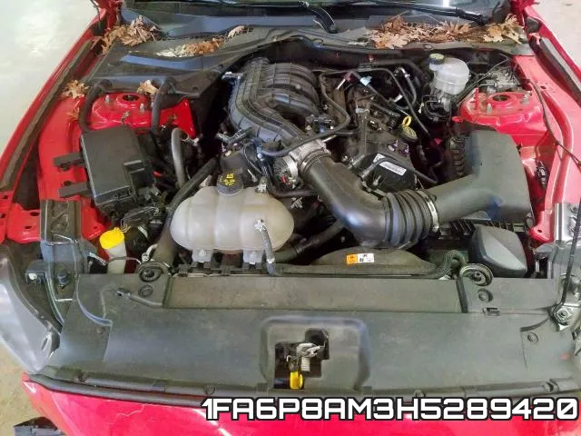 1FA6P8AM3H5289420 фото 8