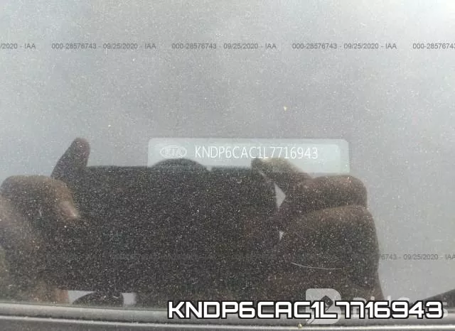 KNDP6CAC1L7716943 фото 10