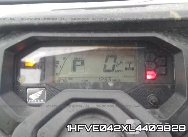 1HFVE042XL4403828 фото 8