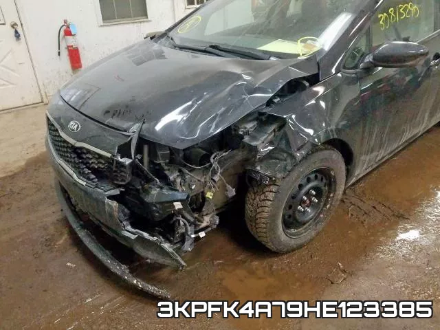 3KPFK4A79HE123385 фото 10