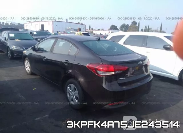 3KPFK4A75JE243514 фото 4