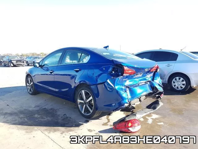 3KPFL4A83HE040797 фото 3