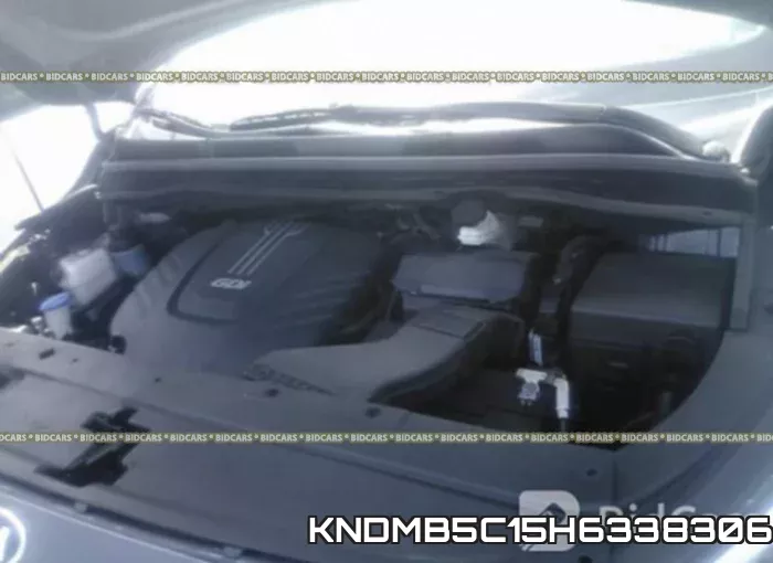 KNDMB5C15H6338306 фото 2