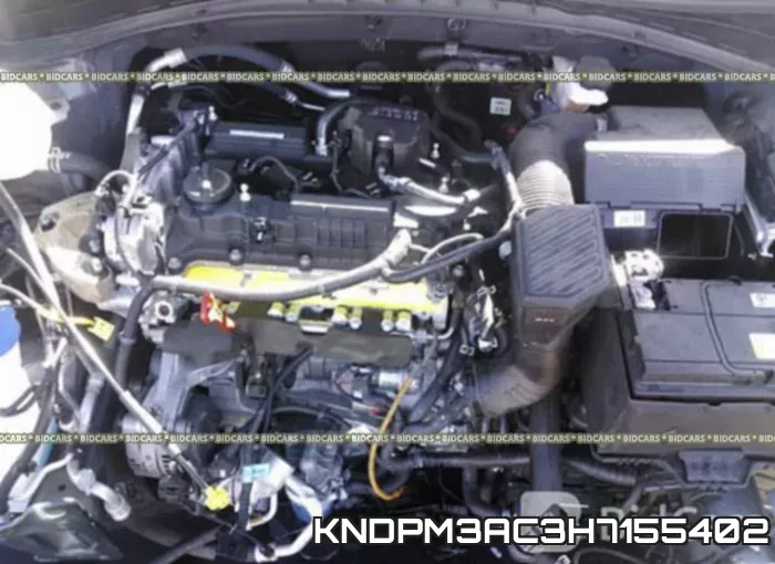 KNDPM3AC3H7155402 фото 2