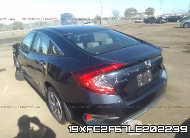 19XFC2F67LE202239 фото 4