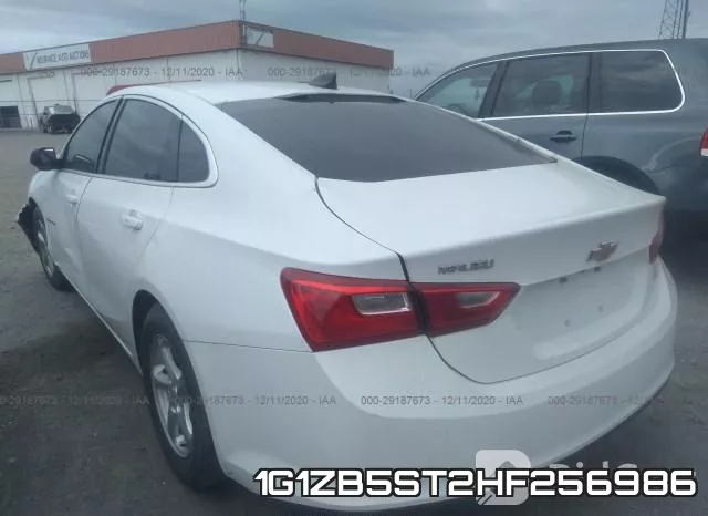 1G1ZB5ST2HF256986 фото 4