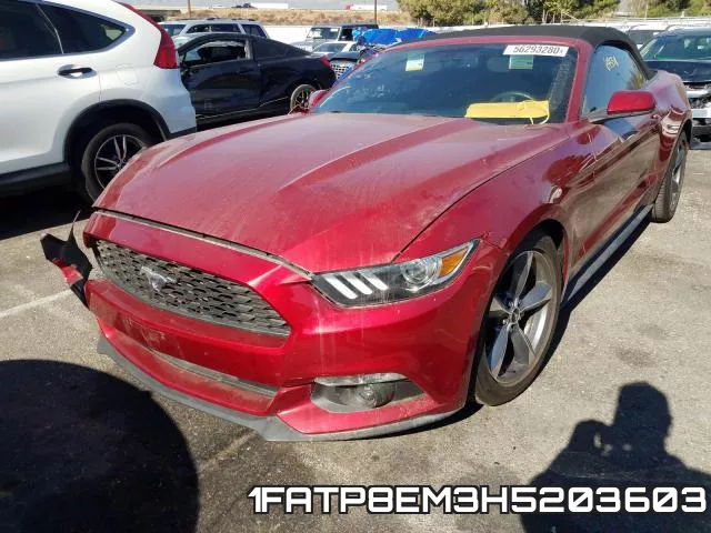 1FATP8EM3H5203603 фото 3