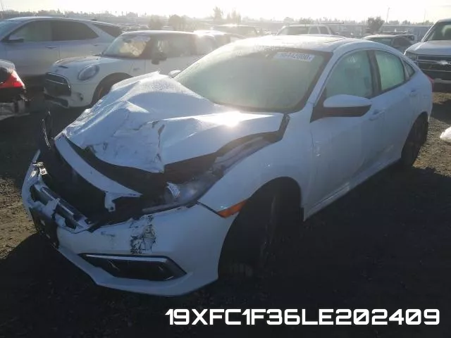 19XFC1F36LE202409 фото 3