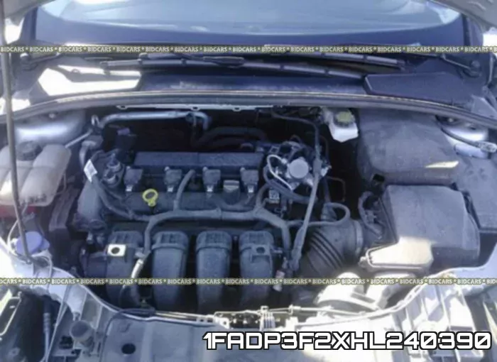1FADP3F2XHL240390 фото 2