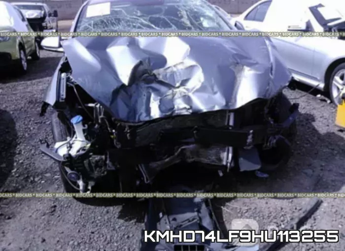 KMHD74LF9HU113255 фото 7