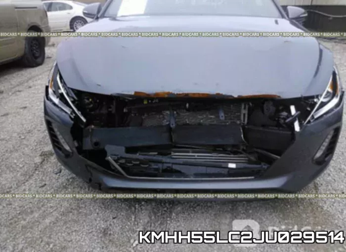 KMHH55LC2JU029514 фото 7