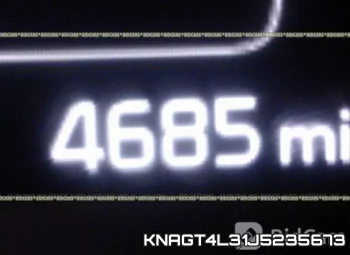 KNAGT4L31J5235673 фото 8