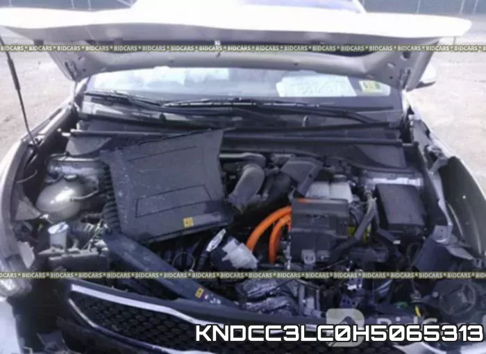 KNDCC3LC0H5065313 фото 2