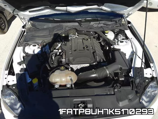 1FATP8UH7K5170293 фото 8