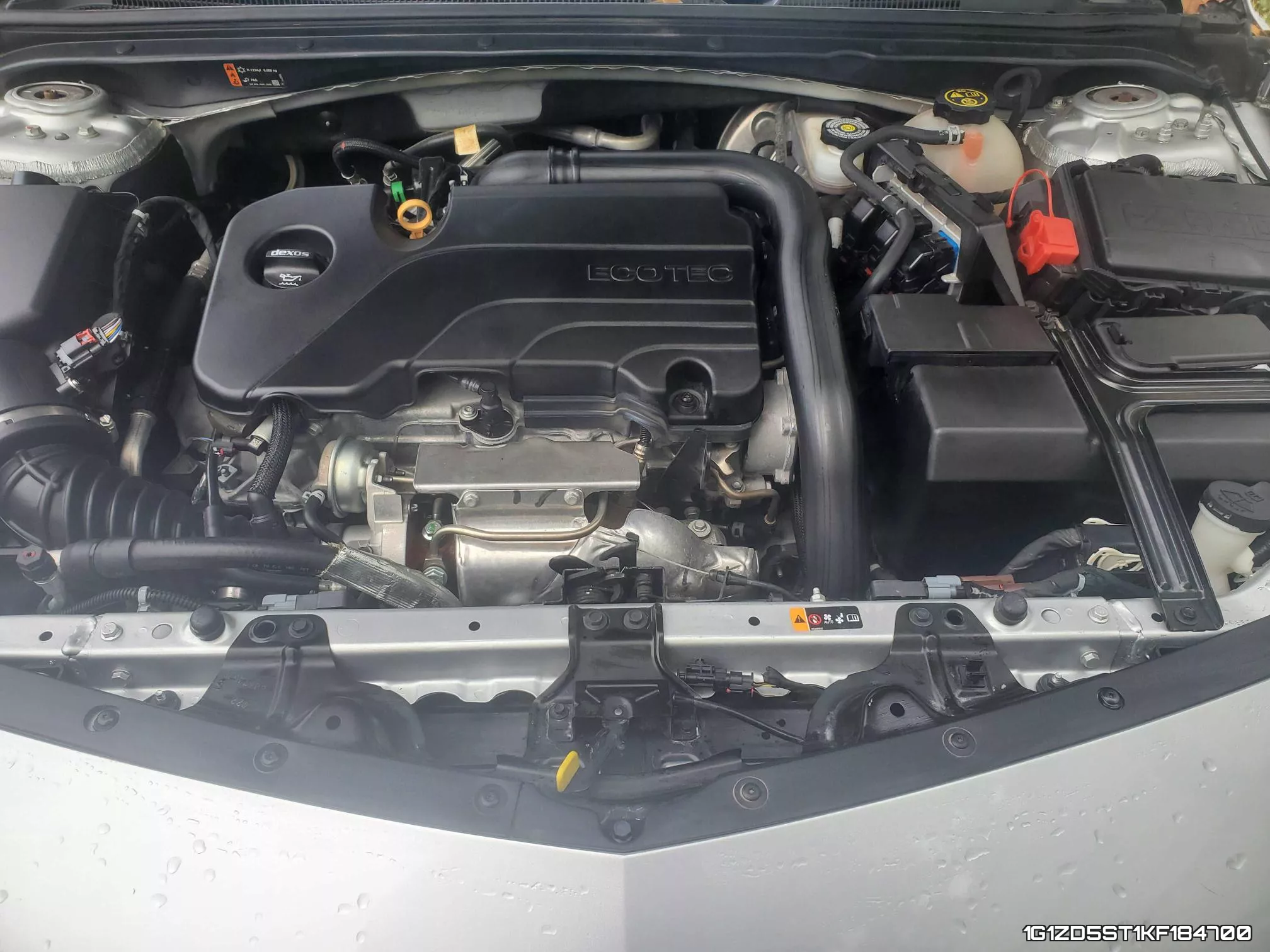 1G1ZD5ST1KF184700 фото 8
