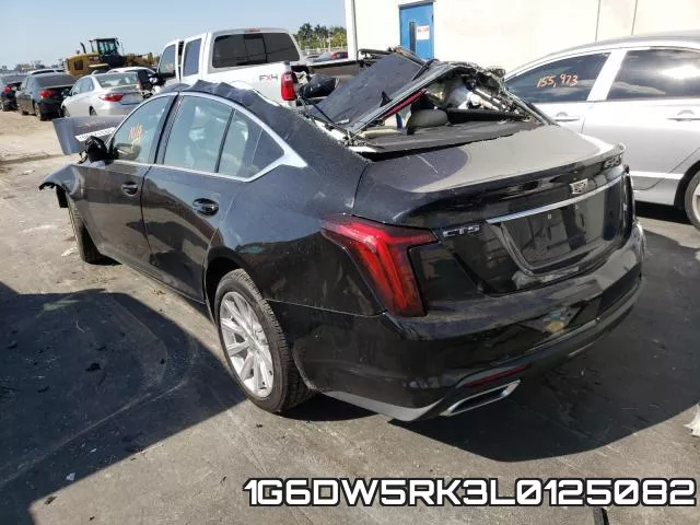 1G6DW5RK3L0125082 фото 3